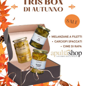 Tris Box di Autunno con conserve pugliesi: melanzane a filetti, carciofi spaccati e cime di rapa, in confezione regalo autunnale.